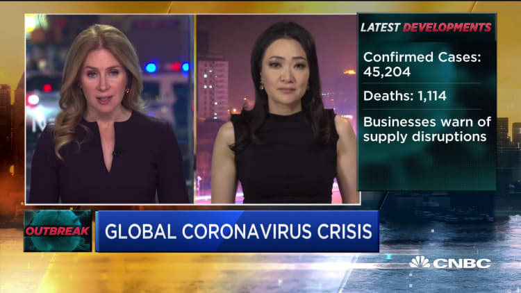 China GDP goal is on track despite coronavirus, government economist says