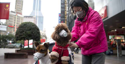 Hong Kong dog with coronavirus is 'doing well,' WHO says