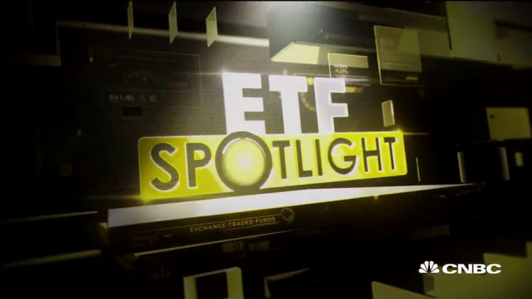 The SPDR consumer discretionary ETF hits new record high, here's what's leading