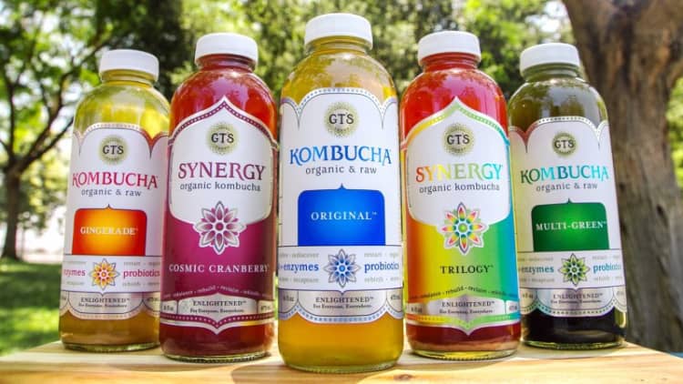 How Gt Dave Started Brewing Kombucha In His Bedroom As A Teenager