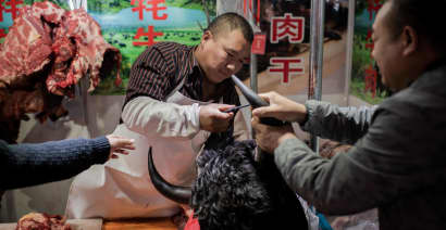 China bans trade, consumption of wild animals due to coronavirus