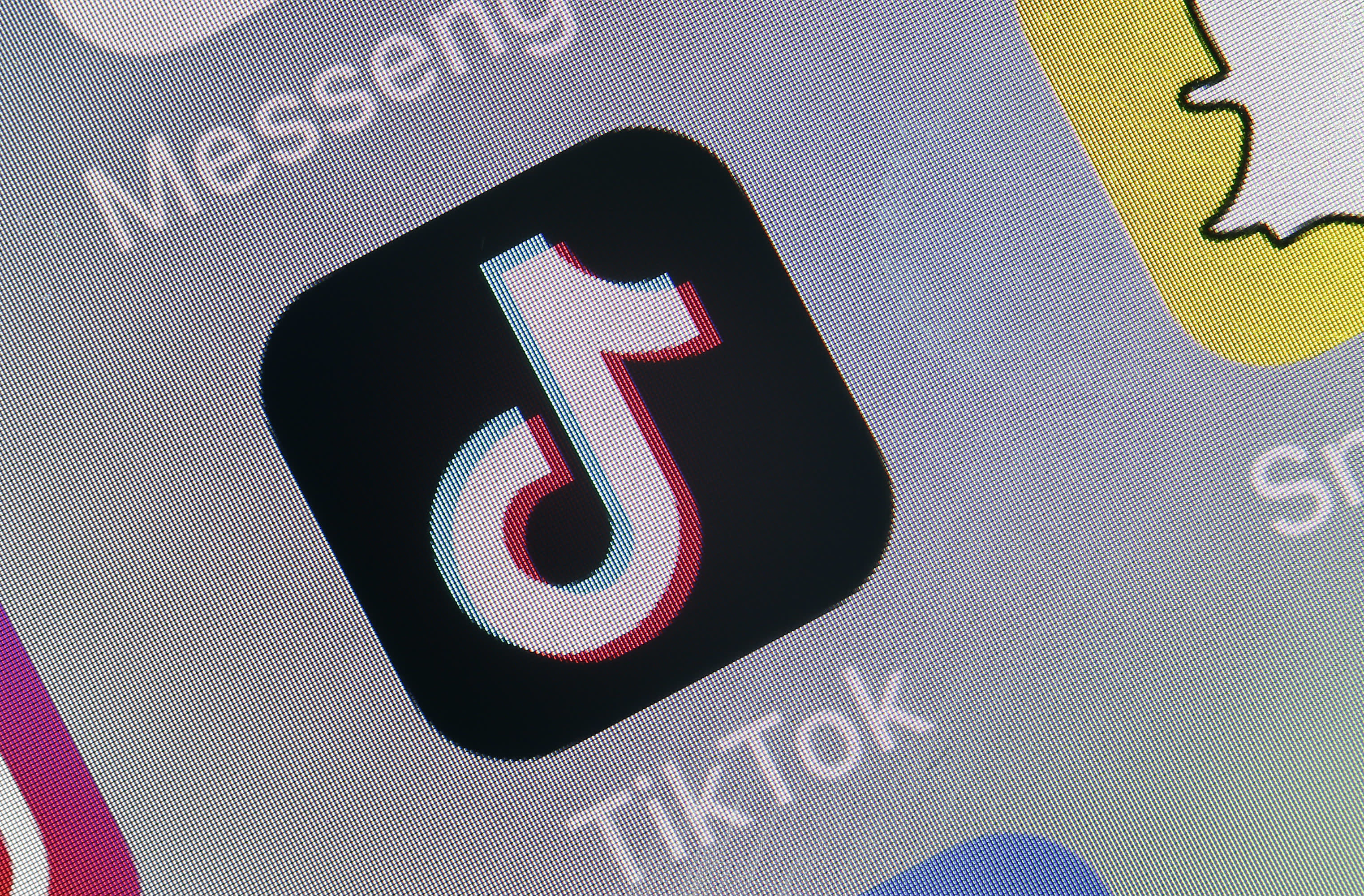 TikTok teens are obsessed with fake luxury products