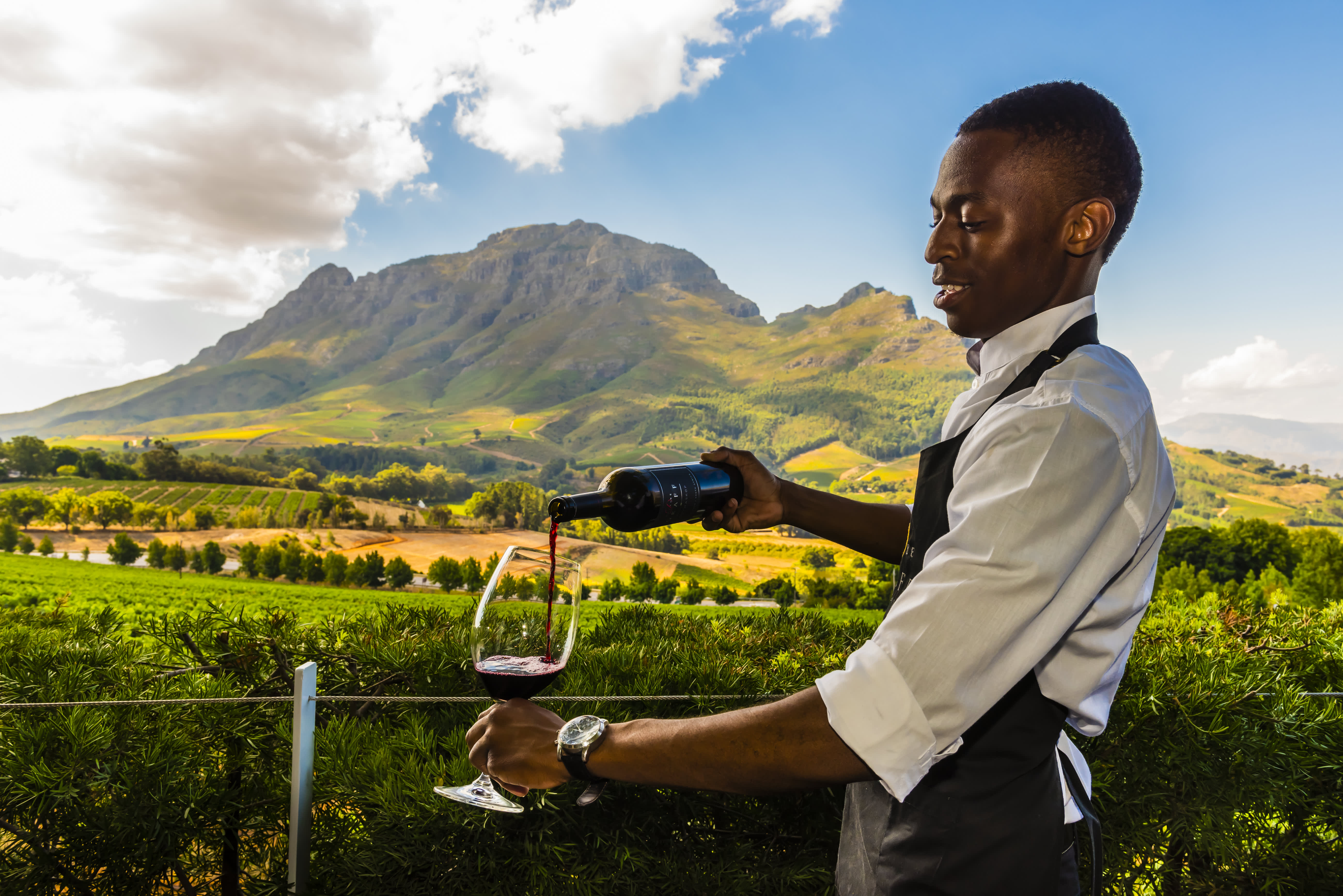 wine tasting tours cape town