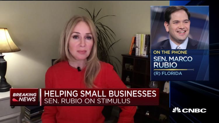Sen. Marco Rubio explains his plan to help small businesses hit by coronavirus