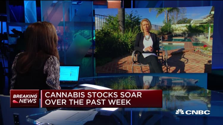 Cannabis stocks soar as other stocks tumble
