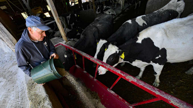 ONE TIME AP: Οι κτηνοτρόφοι βοοειδών Coronavirus επηρεάζουν την ύπαιθρο