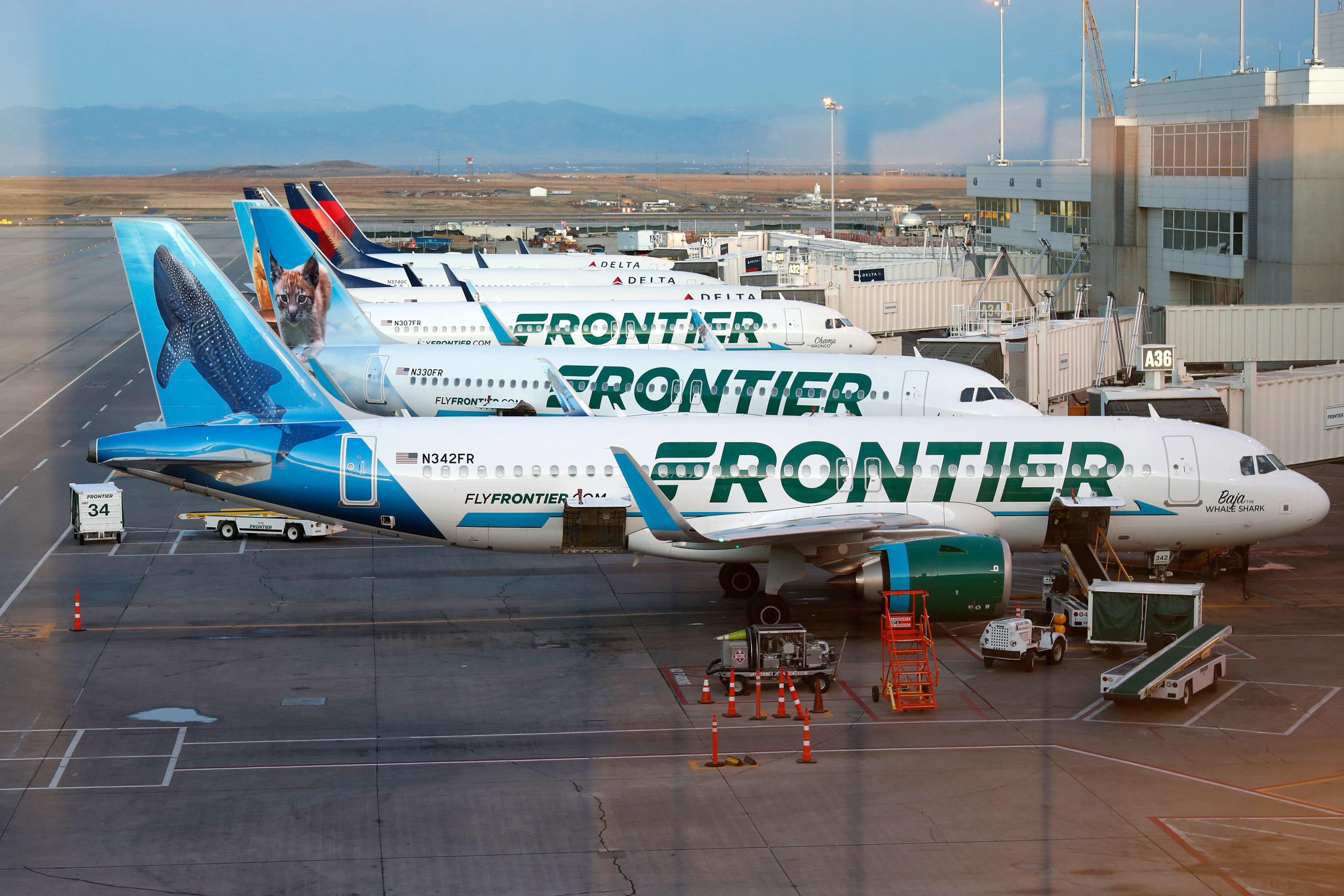 Economic carrier Frontier Airlines registers an IPO again