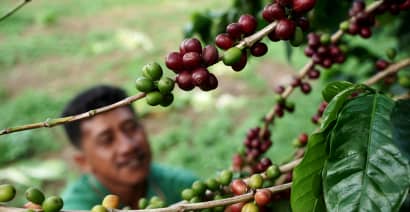 Farmers could be winners as coffee prices spike and countries hoard during pandemic