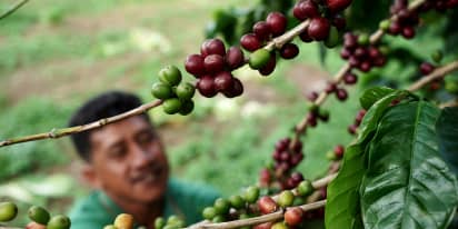 Farmers could be winners as coffee prices spike and countries hoard during pandemic