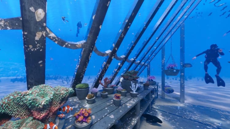 See an underwater art installation built inside the Great Barrier Reef