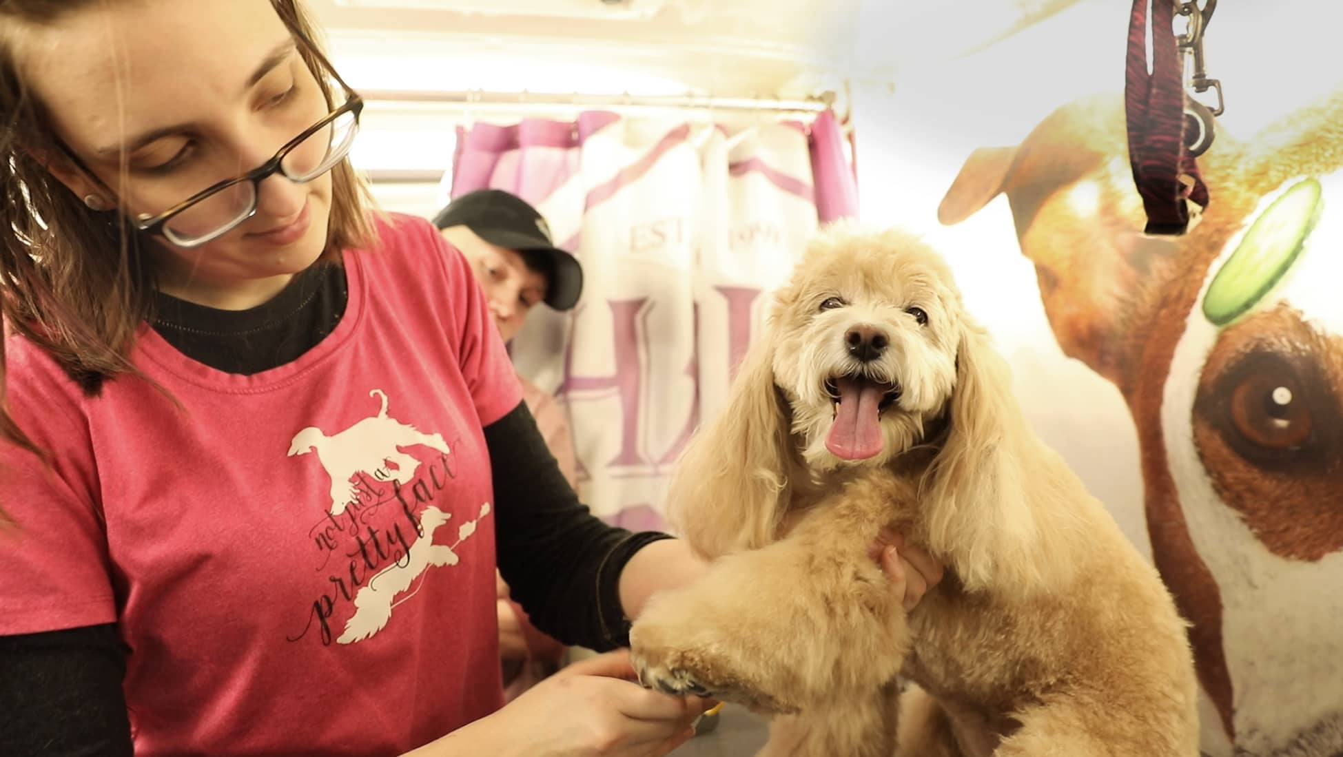 Opening a dog grooming business in New York City