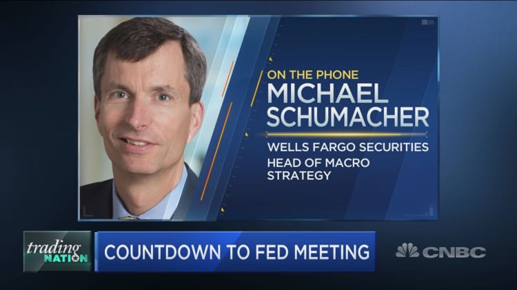 Ten-year Treasury yields will stage a comeback this year, Wells Fargo's Michael Schumacher predicts