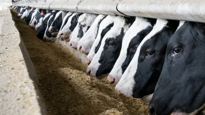GP: USDA Boosts Effort To Support Virus-Hit Meat