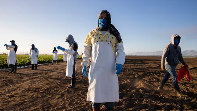 GP: Coronavirus Agriculture: Farm Laborers: Immigrant Agricultural Workers Critical To U.S. Food Security Amid COVID-19 Outbreak