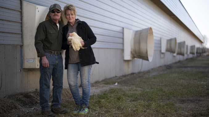 GP: Coronavirus Agriculture: Chicken farm in Albany, Minnesota