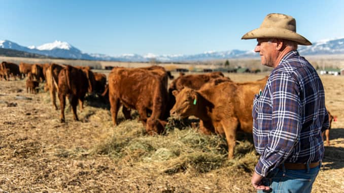 GP: Coronavirus Agriculture: Rancher in Livingston Montana, Cattle Prices Drop During Coronavirus Pandemic Despite Surging Beef Sales