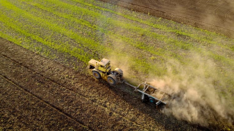 Why farmers are destroying their crops
