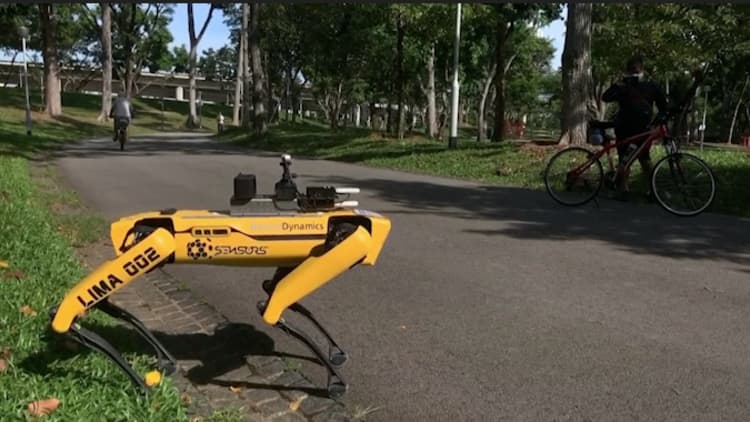 Watch this robotic dog encourage park-goers to practice social distancing in Singapore