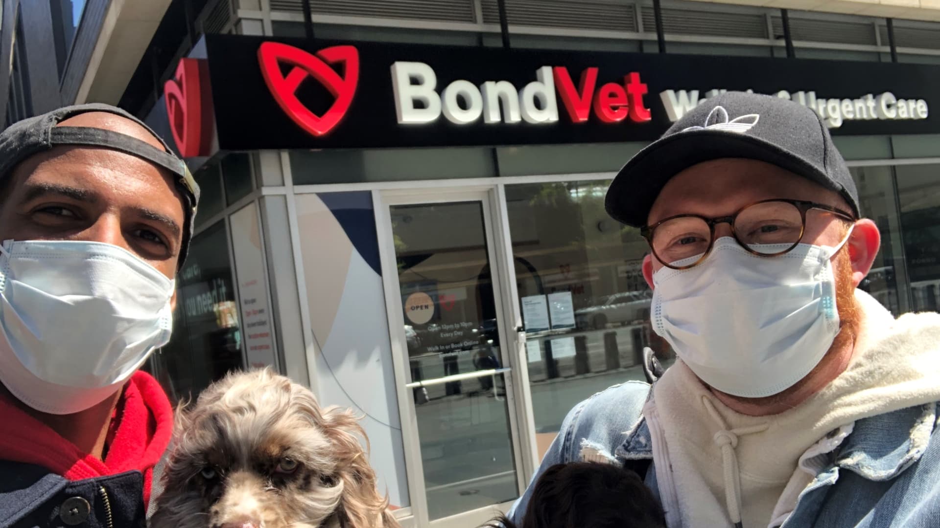 New York pet owners are turning to Bond Vet for sick cats and dogs