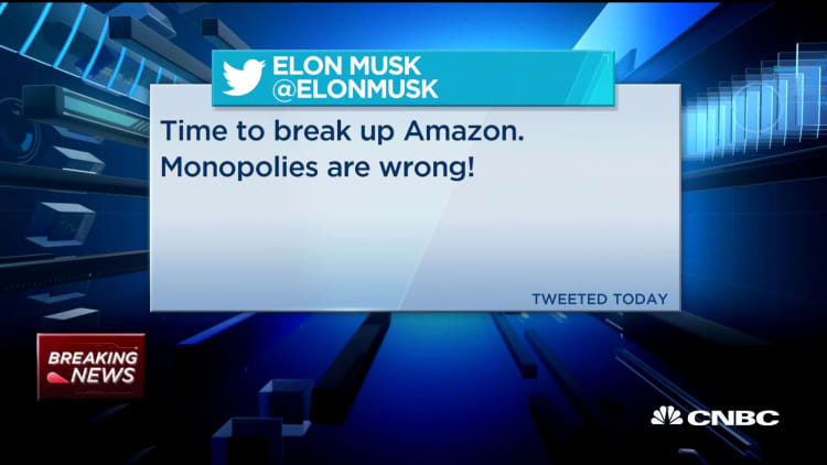 Tesla CEO Elon Musk calls Amazon a monopoly: 'Time to break up Amazon'