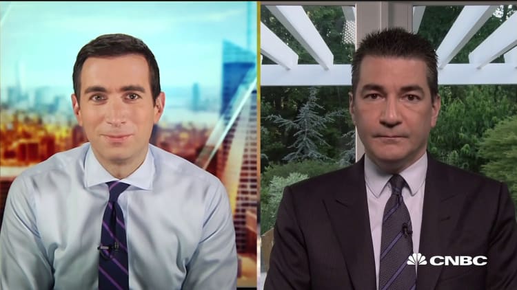 'Personally, I wouldn't attend a large gathering right now'—Former FDA chief Scott Gottlieb on political rallies