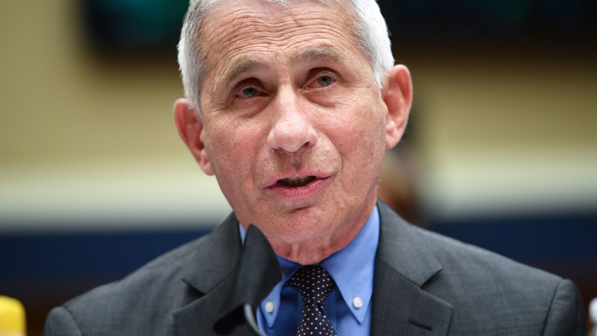 Director of the National Institute for Allergy and Infectious Diseases Dr. Anthony Fauci testifies before the House Committee on Energy and Commerce on the Trump Administration's Response to the COVID-19 Pandemic, on Capitol Hill in Washington, DC, June 23, 2020.