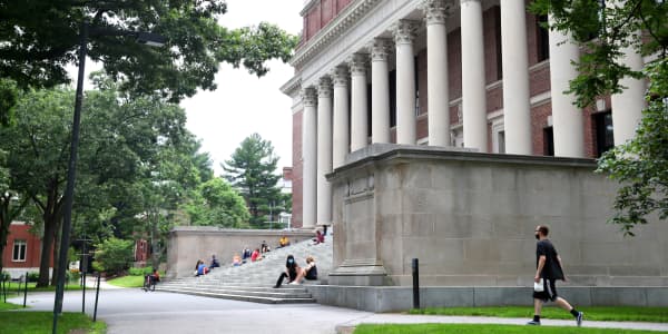 Ivy League acceptance rates 'may have bottomed out,' expert says — here's what that means for getting into schools like Harvard