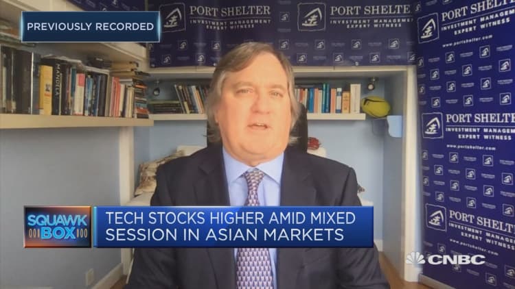 Tech stocks have been in a bit of a bubble, investment manager says