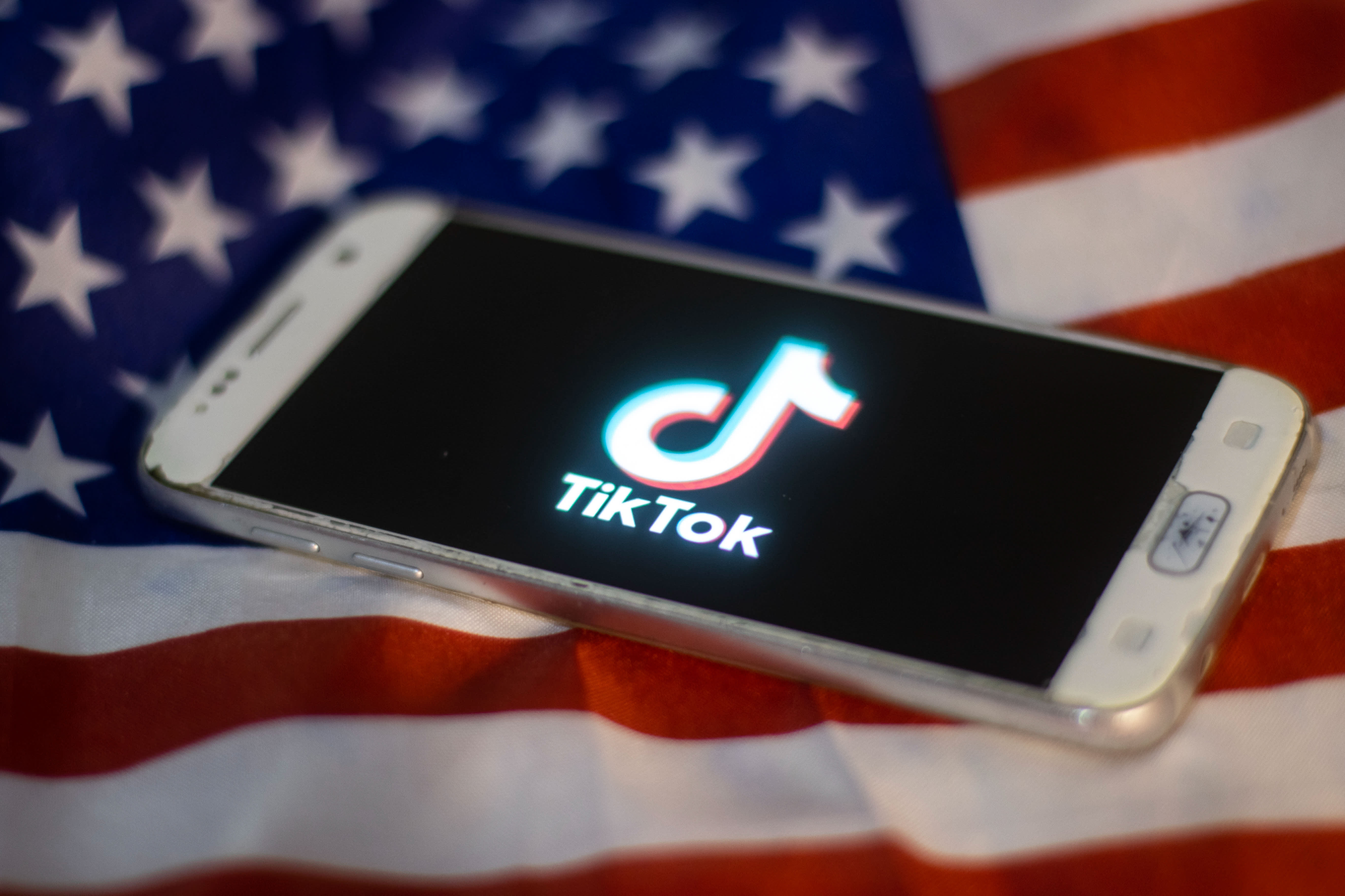 TikTok%20also%20has%20an%20application%20in%20the%20U.S