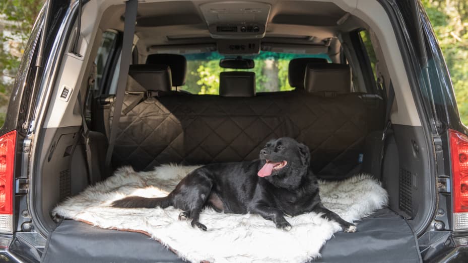 Paw.com sells car door guards, cargo liners and other pet-related travel supplies.