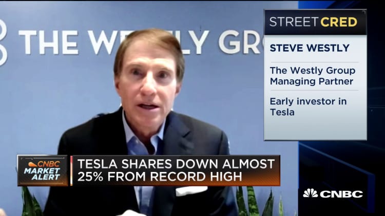 Tesla's fundamental story hasn't changed despite sell-off: Former board member
