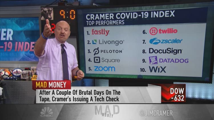 Jim Cramer reviews big winners and losers on the Cramer Covid-19 Index