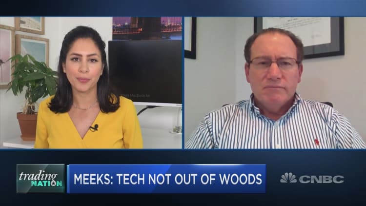 Don't go all in on tech unless it falls into bear market territory, investor Paul Meeks says