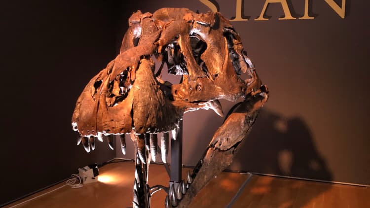 Christie's to auction off T. rex skeleton, expected to sell for at least $6 million