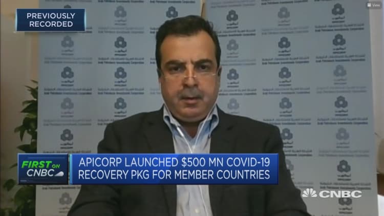 The pandemic has 'accelerated' Arab nations' need to diversify their energy mix: APICORP CEO