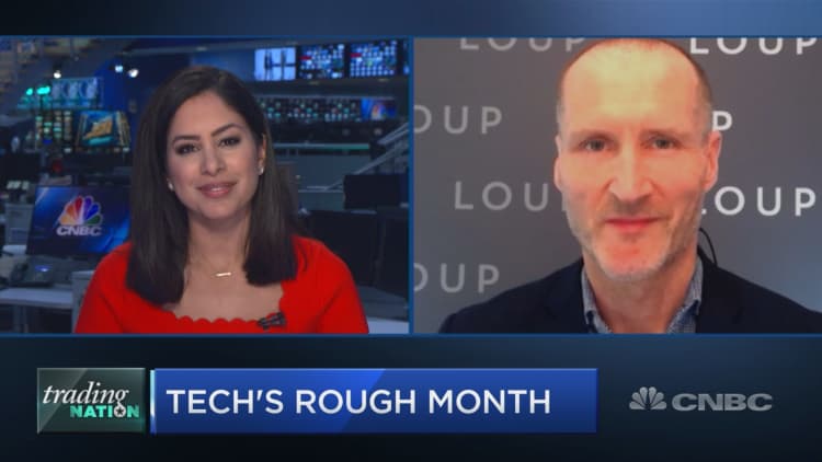 Big cap tech is moving into a stock pickers' market, Loup Ventures' Gene Munster says