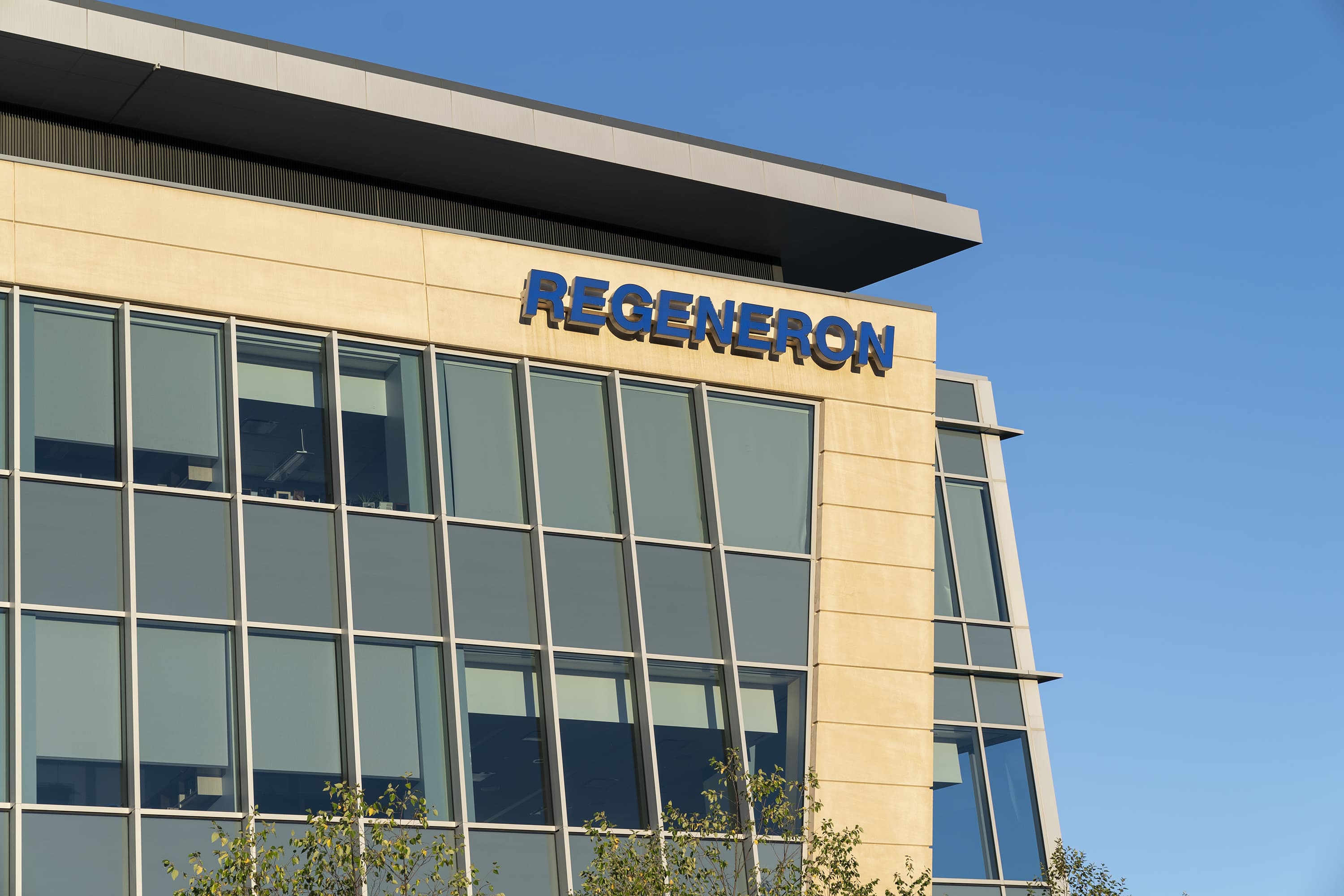 Regeneron will request FDA approval for the antibody as a preventative treatment