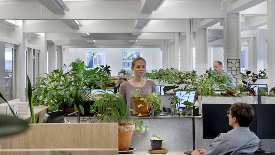 One way to add nature to an office space is adding houseplants, as the office of CookFox Architects in Manhattan did here.