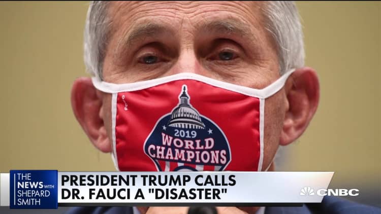 President Trump bashes Fauci