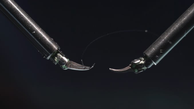 Instrumentos NanoWrist de MMI que sostienen una sutura 10-0.