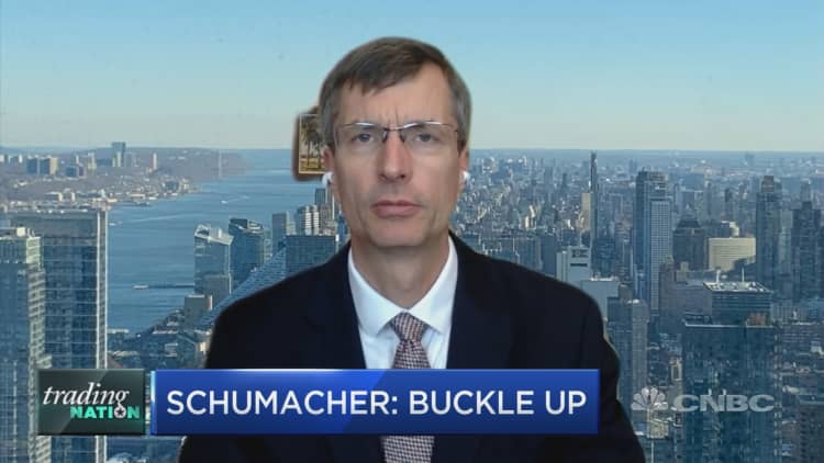 Buckle up because volatility is just beginning, Wells Fargo's Mike Schumacher suggests