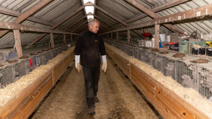 Mink farm owner Holger Rønnow in his farm, where he is forced by the Government to mass cull all minks on November 6, 2020 in Herning, Denmark.