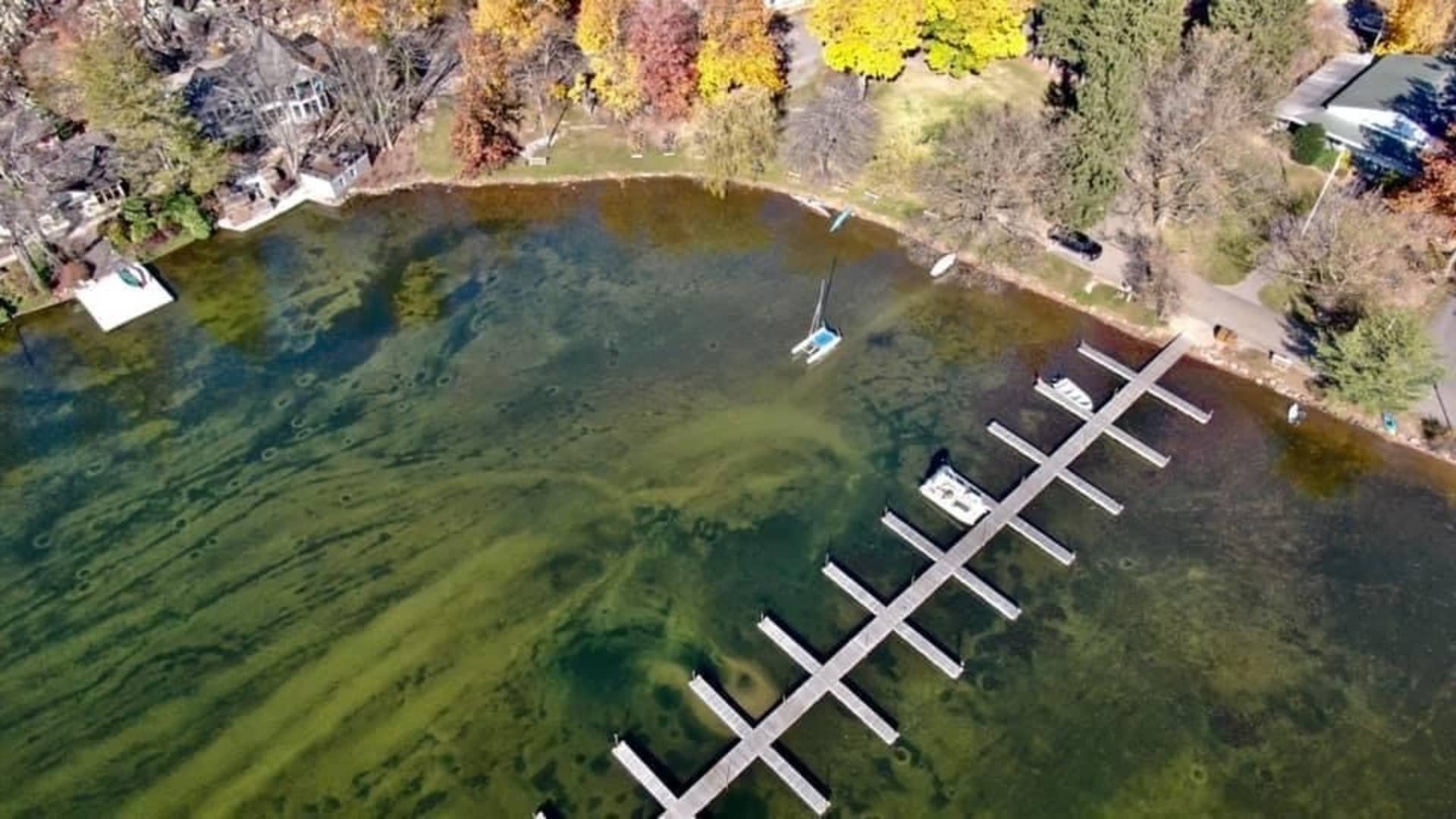 An aerial view of Green Pond Lake shows the damage and contamination milfoil has created, turning the lake a green color and making it uninhabitable for native species -- and swimmers.