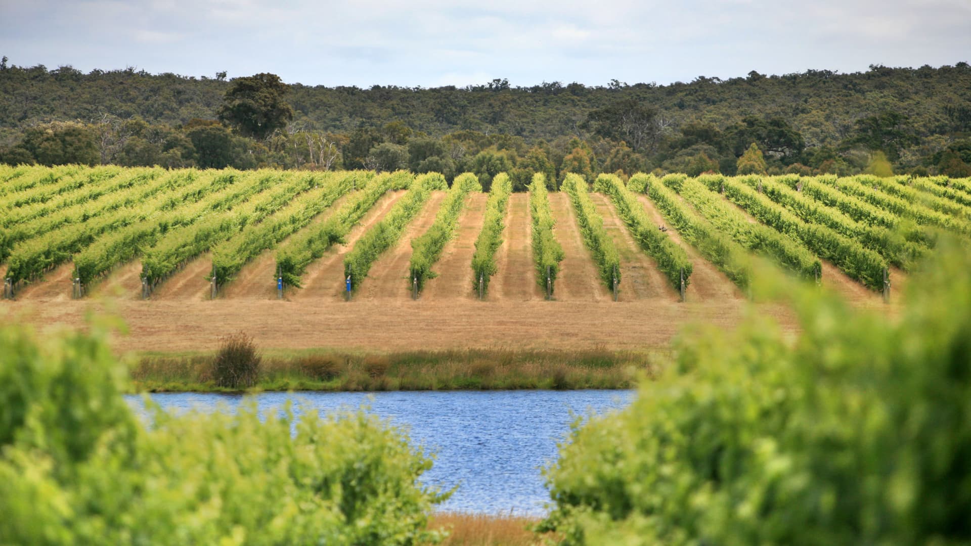 In addition to vineyards, Margaret River has olive groves, berry farms and chocolate factories, and almost all provide tastings and picnic portions for takeaway.