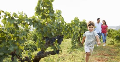 A renowned wine touring region that welcomes kids 