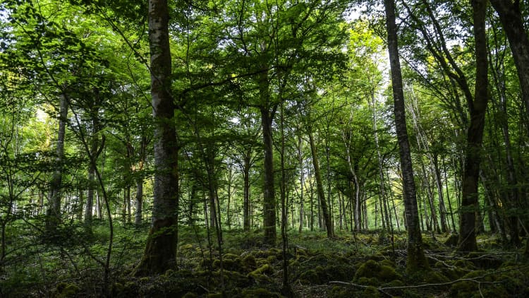 A national park in France is being used a lab to study climate change