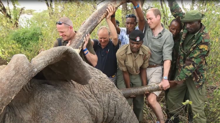Duke of Cambridge: 'I have big concerns if we can't get tourism back in Africa'