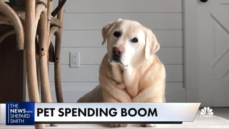 Americans are projected to spend $99 billion on their pets this year