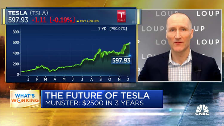 Tesla's story is going to evolve in the years to come, says Loup Ventures' Munster