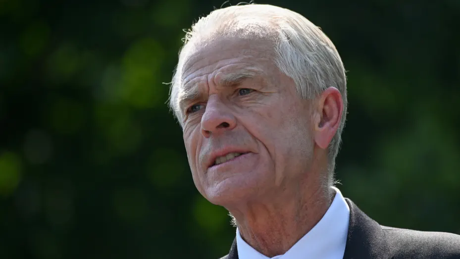 White House adviser Peter Navarro speaks to reporters outside the West Wing in Washington.